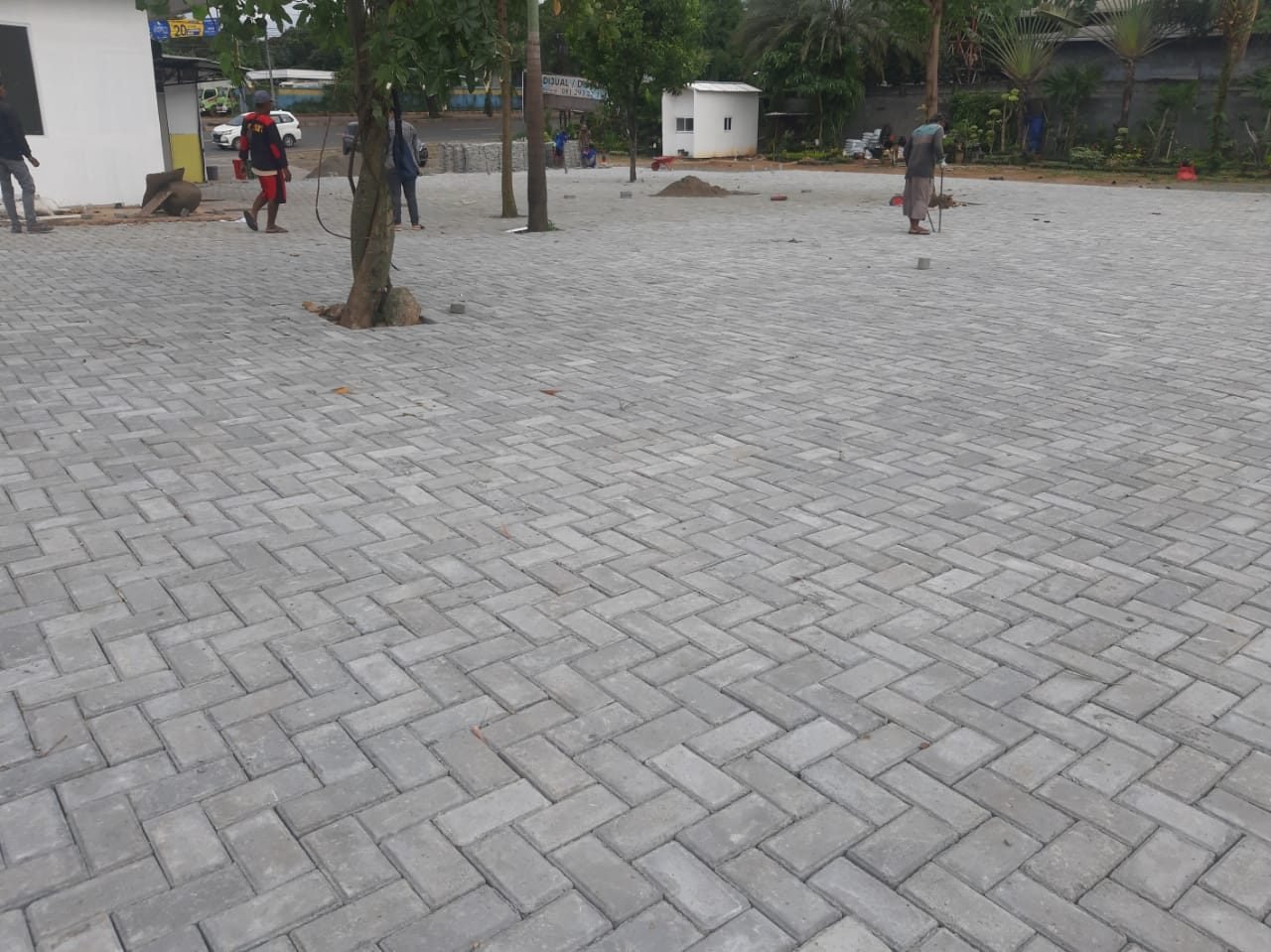 Proyek paving plaza area komersial dengan pohon dan lansekap